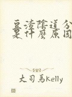 豆渣阴道分泌物是什么原因