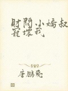 财阀小娇叔你要宠坏我