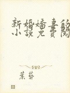 新婚娇妻的秘密小说免费阅读