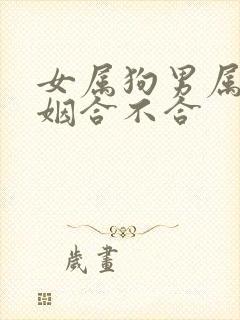 女属狗男属猴婚姻合不合