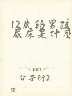 12岁的男孩子尿床是什么原因