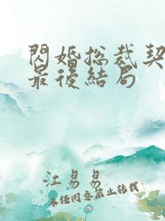 闪婚总裁契约妻最后结局