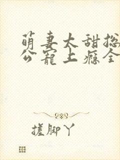 萌妻太甜总裁老公宠上瘾全文阅读