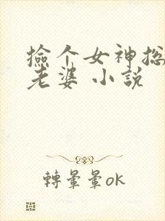 捡个女神总裁当老婆 小说