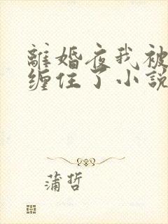 离婚夜我被前夫缠住了小说免费阅读