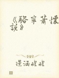 《骆宁萧怀沣小说》