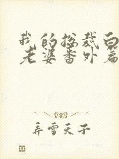 我的总裁白富美老婆番外篇