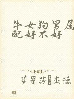 牛女狗男属相婚配好不好