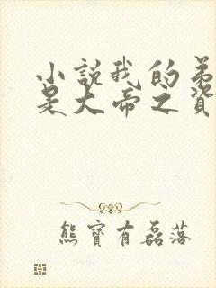 小说我的弟子全是大帝之资最新章节