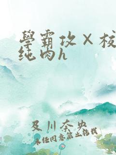 学霸攻×校霸受纯肉h