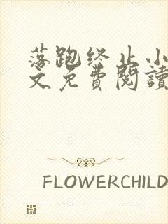 落跑终止小说全文免费阅读最新章节