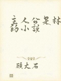 主人公是林小雨的小说