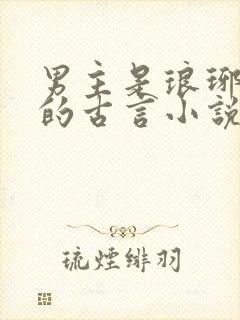 男主是琅琊王氏的古言小说