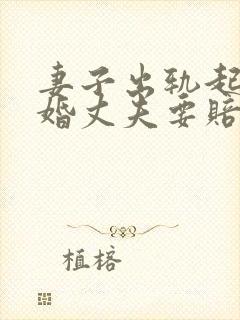 妻子出轨起诉离婚丈夫要赔偿