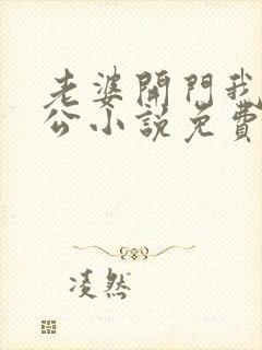 老婆开门我是老公小说免费阅读