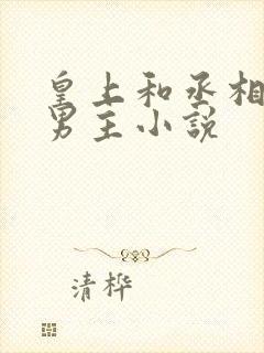 皇上和丞相的双男主小说