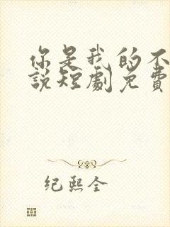 你是我的不可言说短剧免费播放全集