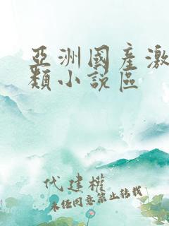 亚洲国产激情另类小说区