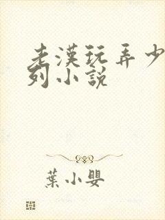 老汉玩弄少妇系列小说