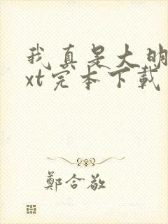 我真是大明星txt完本下载