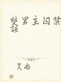 双男主囚禁的小说