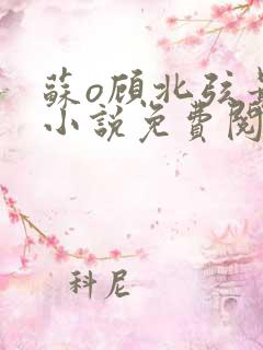 苏o顾北弦最新小说免费阅读