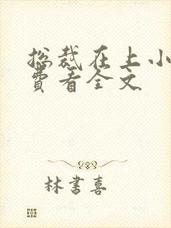 总裁在上小说免费看全文