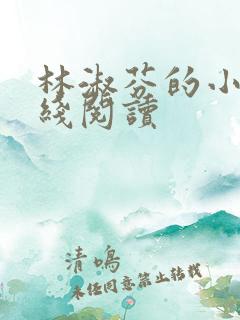 林淑芬的小说在线阅读