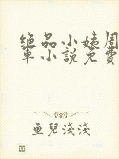 绝品小姨周晴小军小说免费阅读