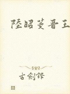 陆昭菱晋王小说