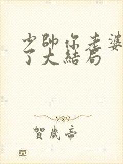 少帅你老婆又跑了大结局