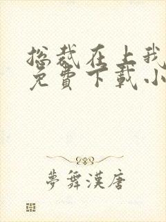 总裁在上我在下免费下载小说