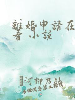 离婚申请在哪里看 小说