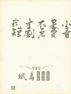 我才不是小可怜短剧免费看