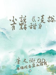 小说《凌总追妻有点甜》