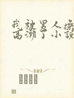 我被男人操爽了高潮了小说