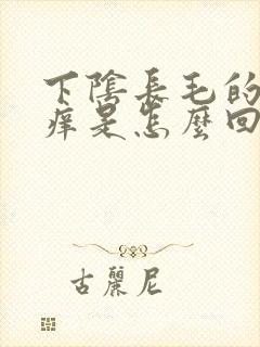 下阴长毛的地方痒是怎么回事