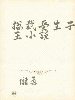 总裁受生子双男主小说