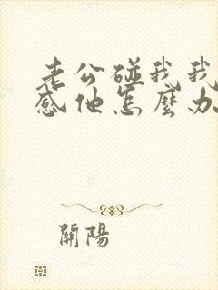 老公碰我我就反感他怎么办