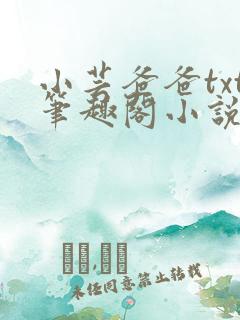 小芸爸爸txt笔趣阁小说