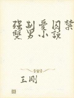 强制爱囚禁调教双男小说