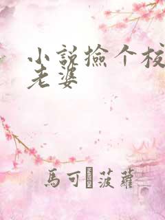 小说捡个校花做老婆