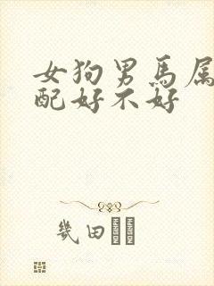 女狗男马属相婚配好不好