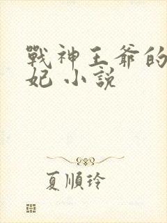 战神王爷的小医妃 小说