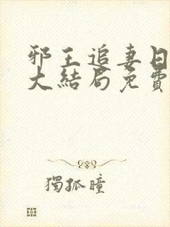 邪王追妻日日忙大结局免费阅读