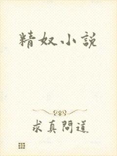 精奴小说