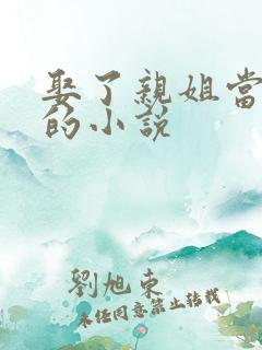 娶了亲姐当老婆的小说