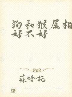 狗和猴属相婚配好不好