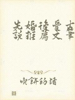 先婚后爱古言小说推荐文笔好高质量