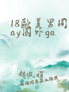 18欧美男同gay国外ga